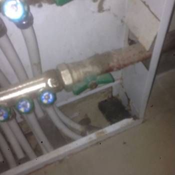 Сдается Дом, 60 м²