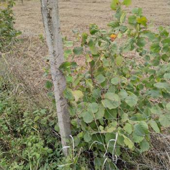 Продается Участок, 950 м²