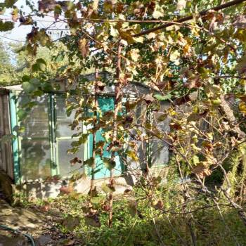 Продается Дом, 30 м²