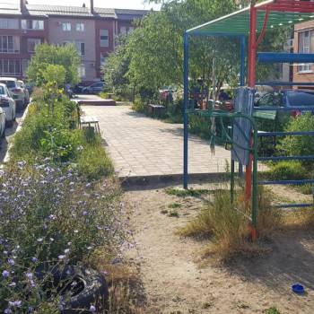 Сдается 1-комнатная квартира, 26 м²