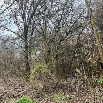 Продается Участок, 600 м²