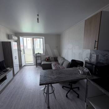 Продается 1-комнатная квартира, 25,6 м²
