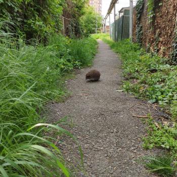 Продается 3-х комнатная квартира, 77,5 м²