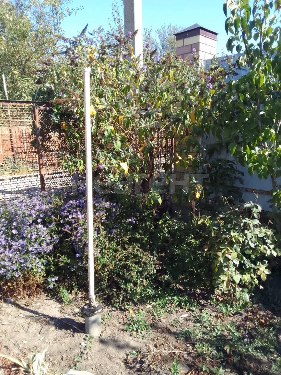 Фотография №8