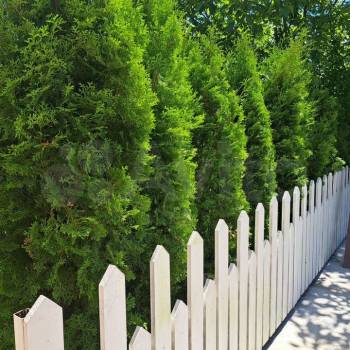 Продается Дом, 250 м²