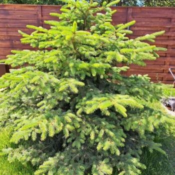 Продается Дом, 250 м²