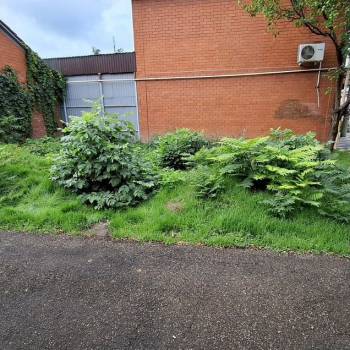 Продается Участок, 100 м²