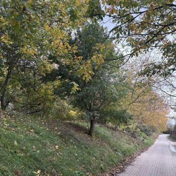 Продается Участок, 600 м²