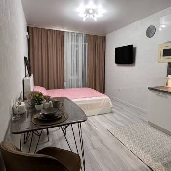 Сдается 1-комнатная квартира, 26,6 м²