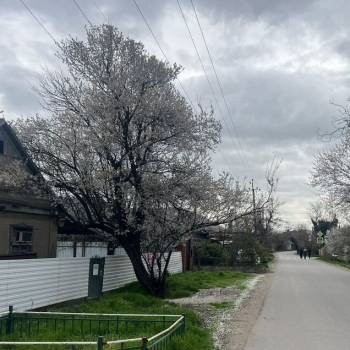 Продается Участок, 870 м²