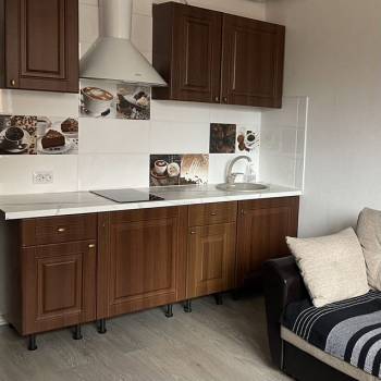 Сдается 1-комнатная квартира, 24,3 м²