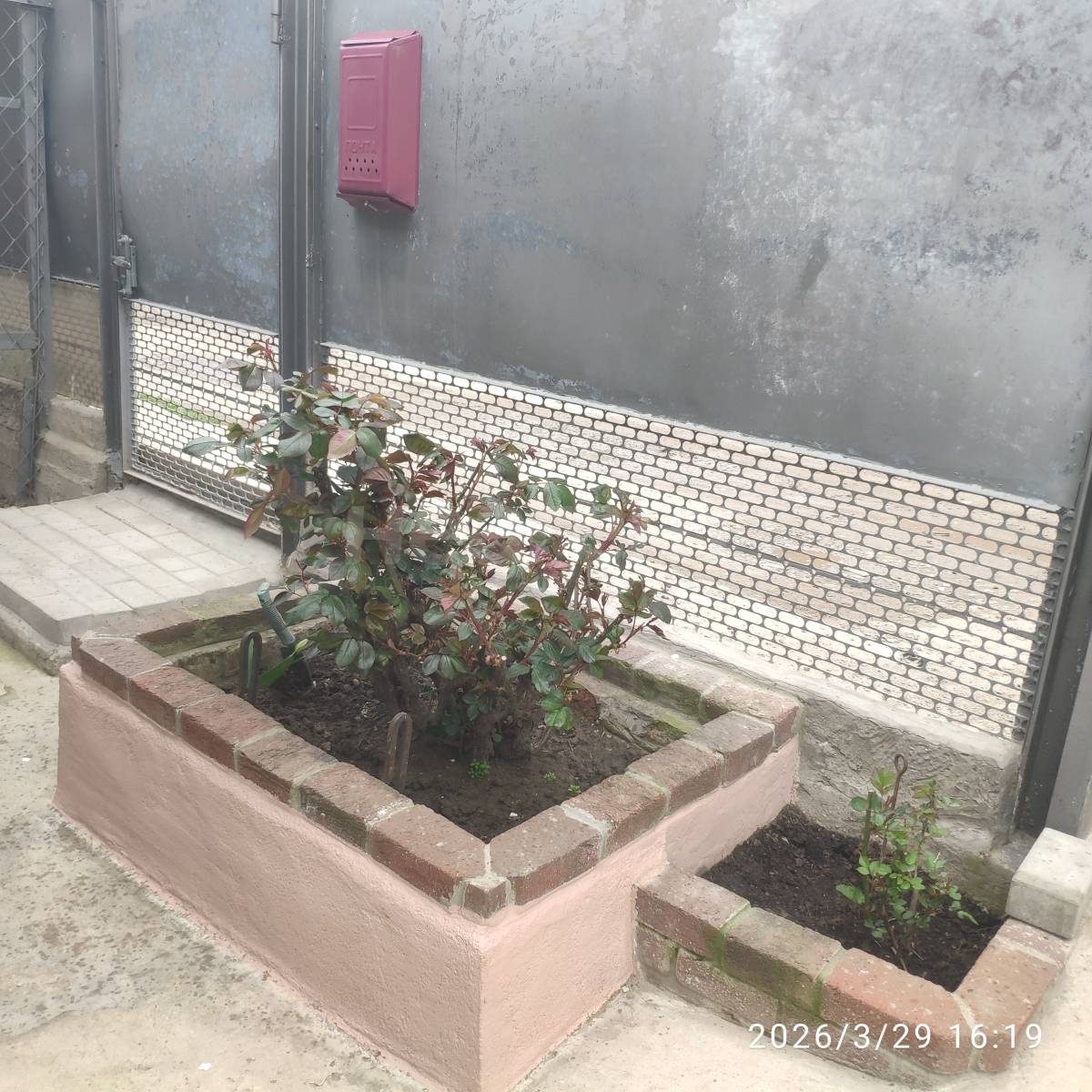 Фотография №26