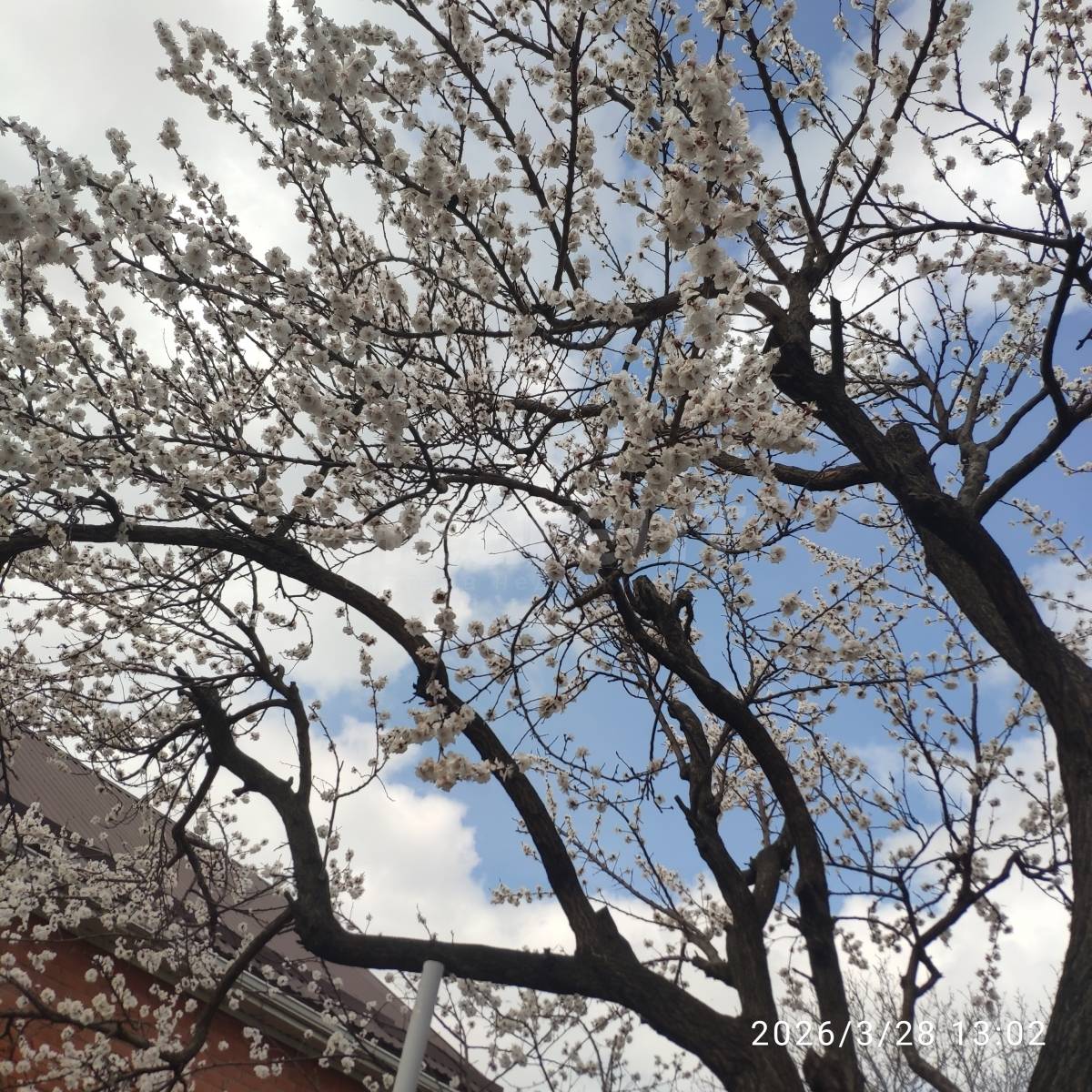 Фотография №27