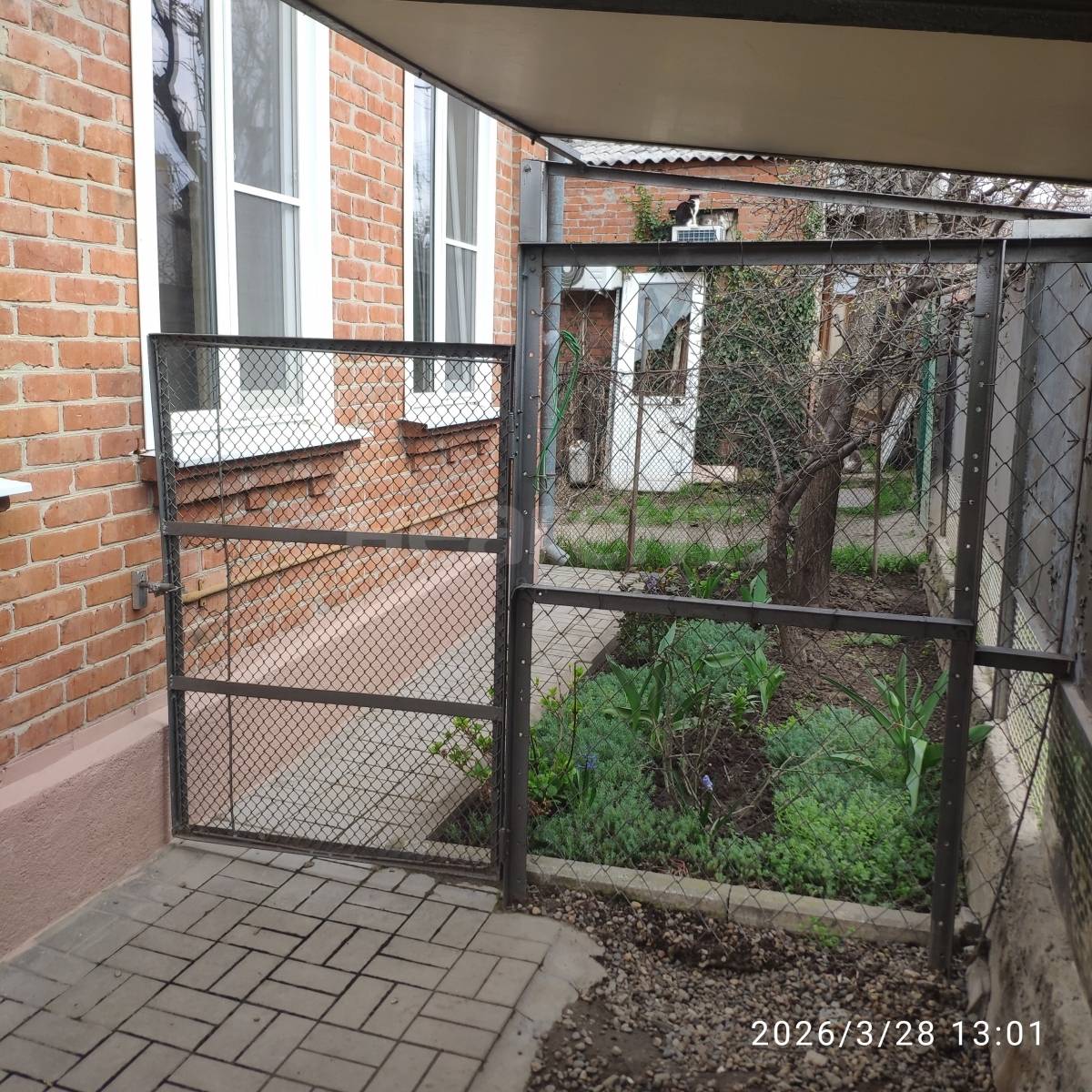 Фотография №28