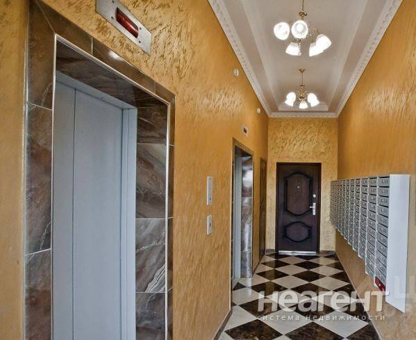 Фотография №2