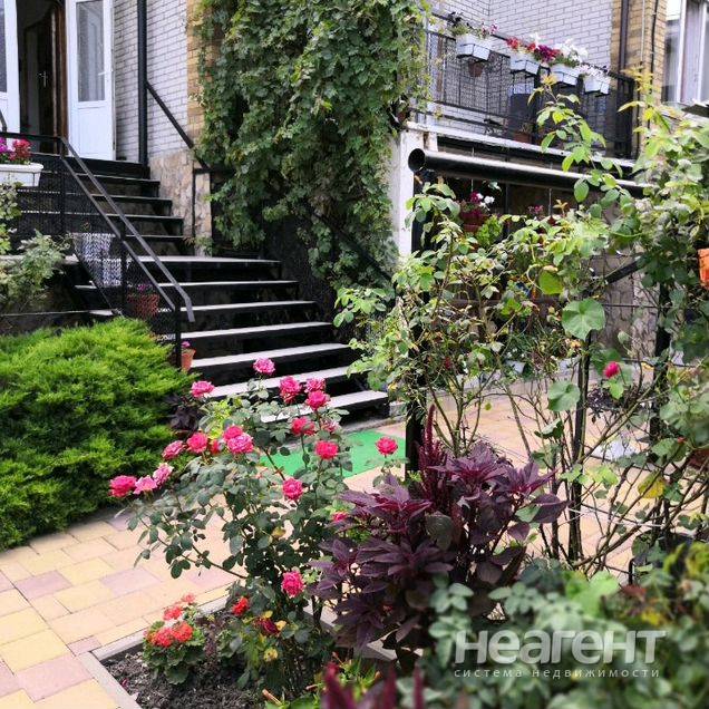 Фотография №3