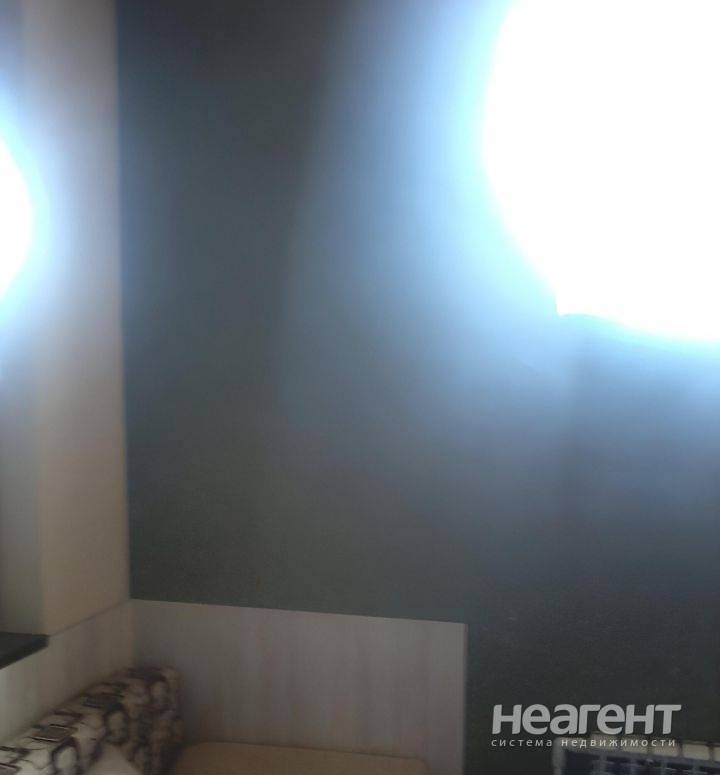 Фотография №2