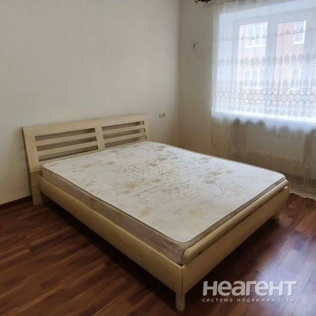 Фотография №3