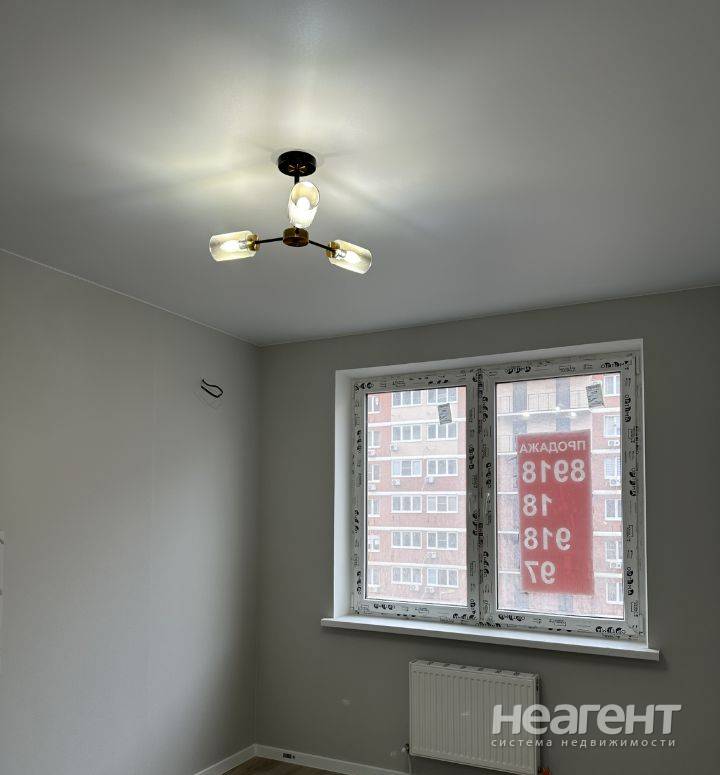 Фотография №3