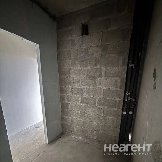 Фотография №3