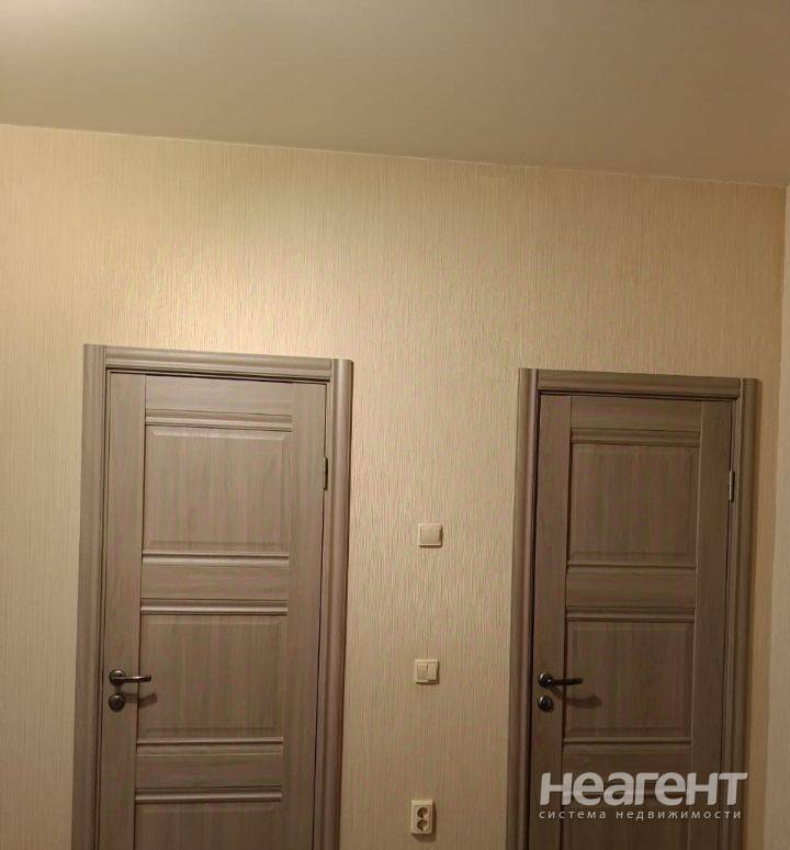 Сдается 1-к квартира, ЖК Радонеж, ул. Вишняковой