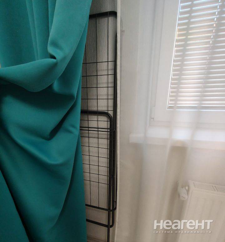 Фотография №3