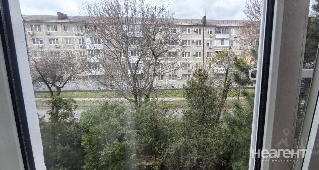 Фотография №2