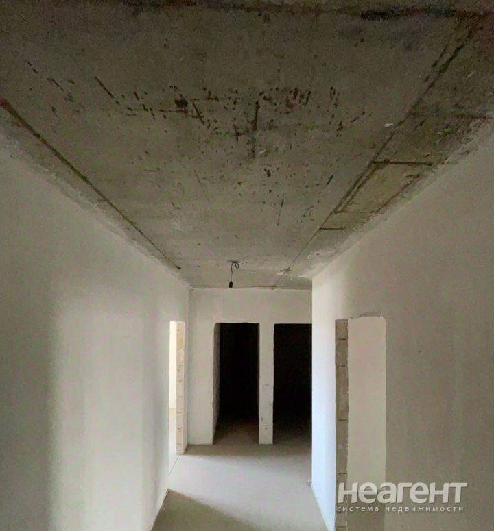 Фотография №2