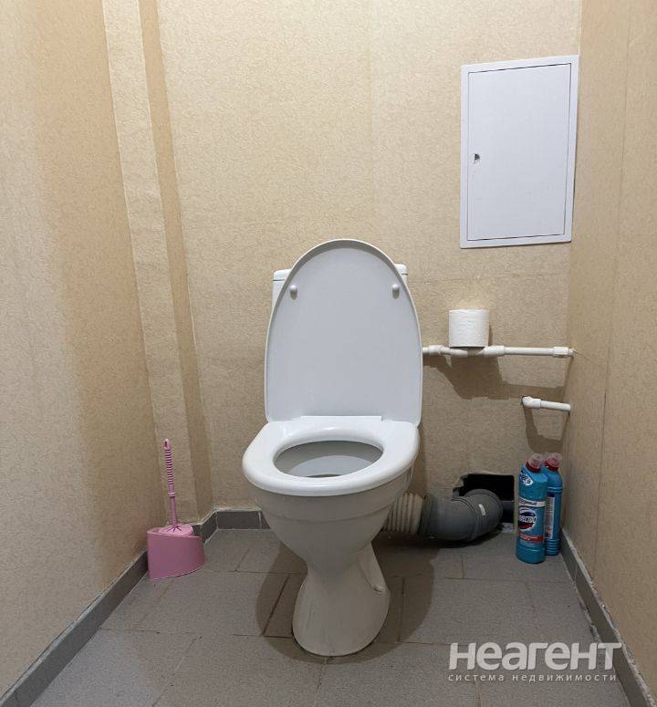 Фотография №2