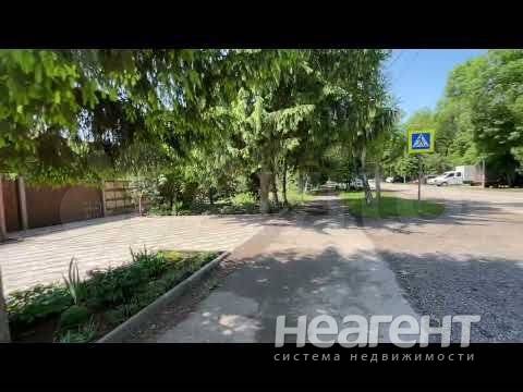 Фотография №2