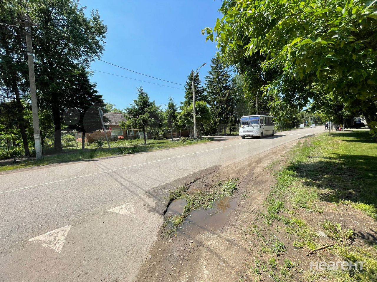 Фотография №3