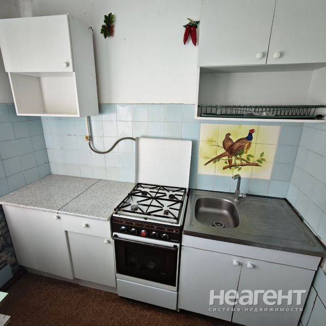 Фотография №2