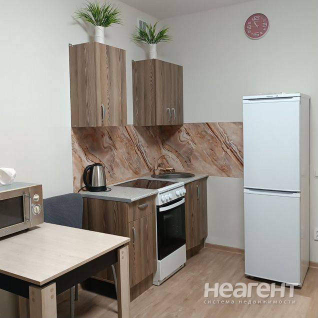 Сдам квартиру-студию, ЖК Оазис, ул. Комарова, собственник