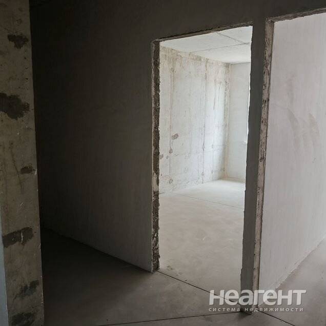 Фотография №3