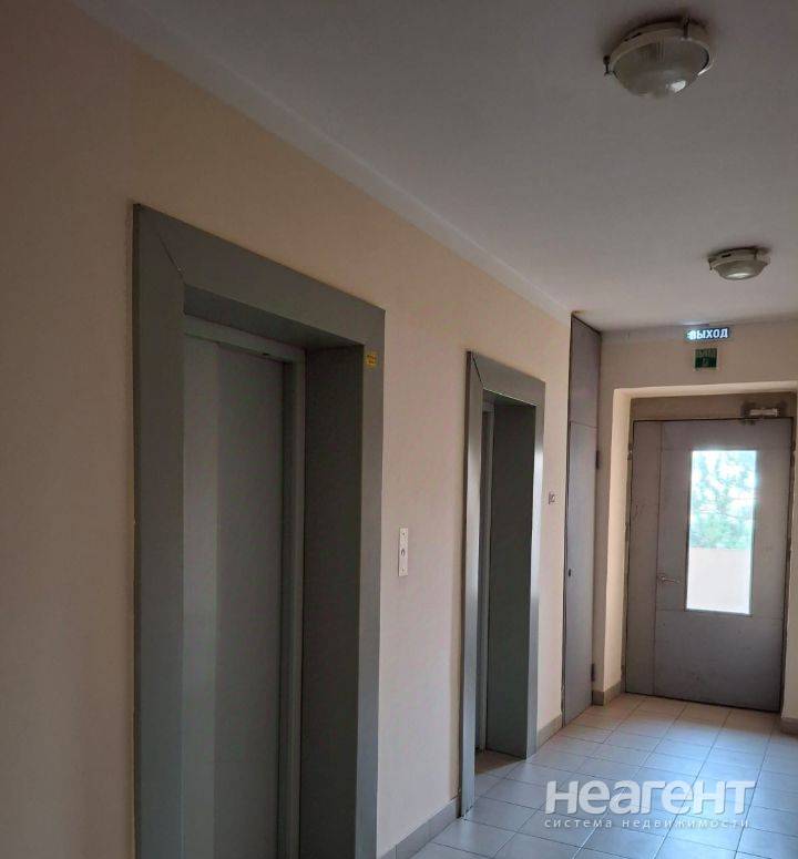 Фотография №2