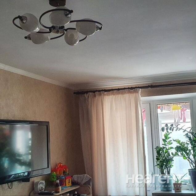 Фотография №3