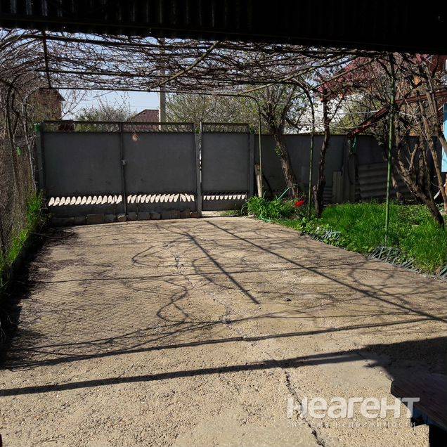 Фотография №2