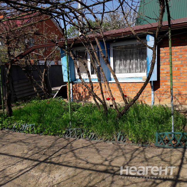 Фотография №3