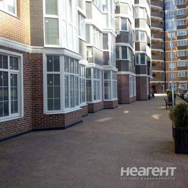 Фотография №2