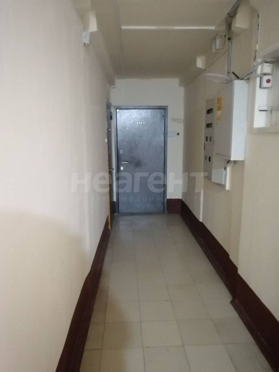 Фотография №19