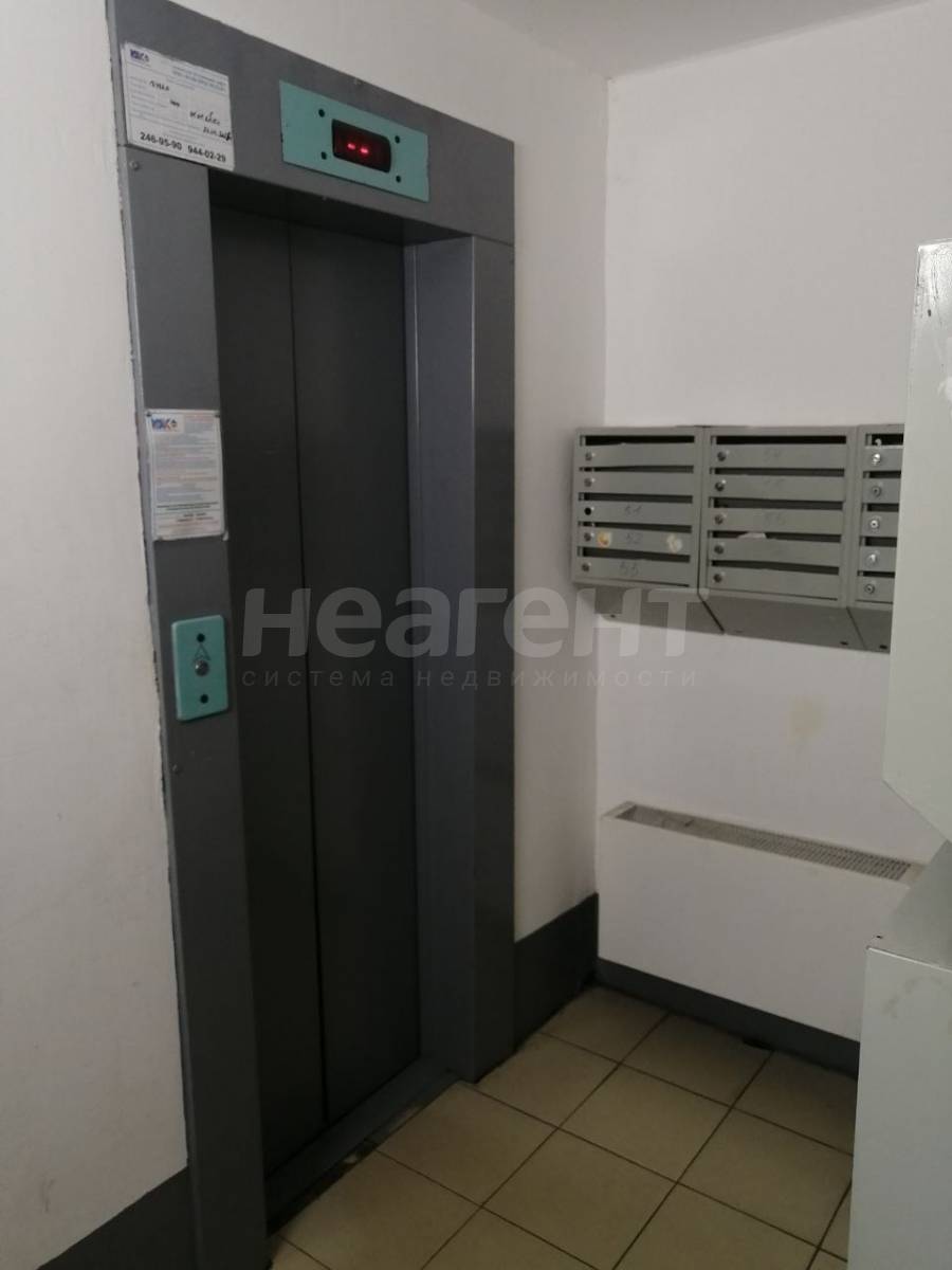 Фотография №20