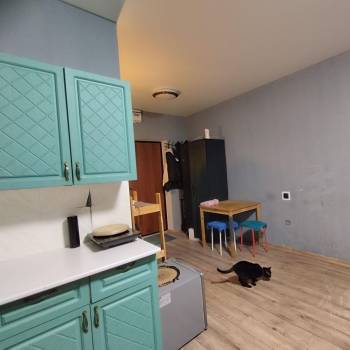 Продается 1-комнатная квартира, 24 м²