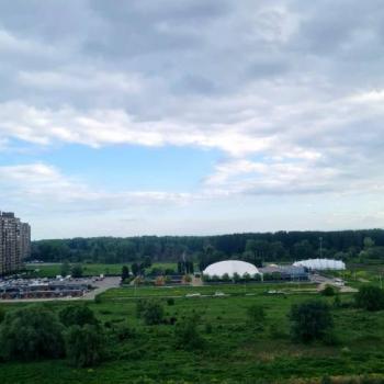 Сдается 1-комнатная квартира, 45 м²