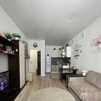 Продается 1-комнатная квартира, 22,5 м²