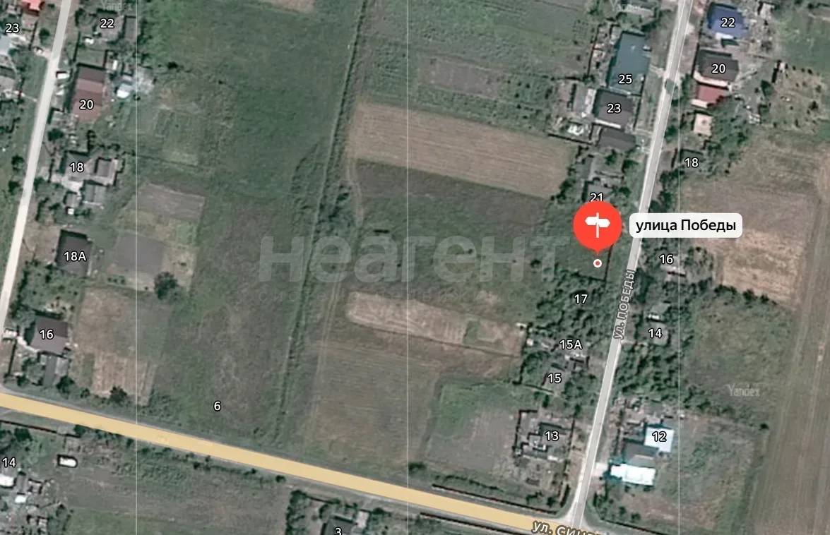 Фотография №4