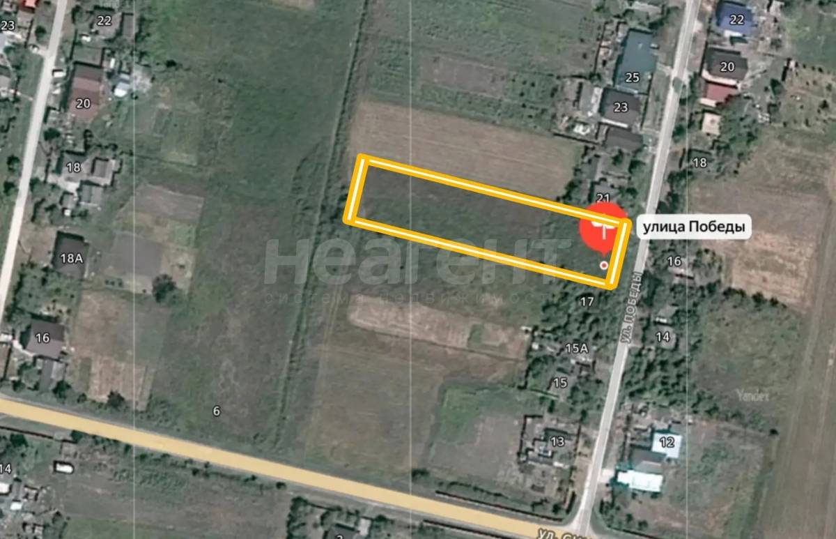 Фотография №6