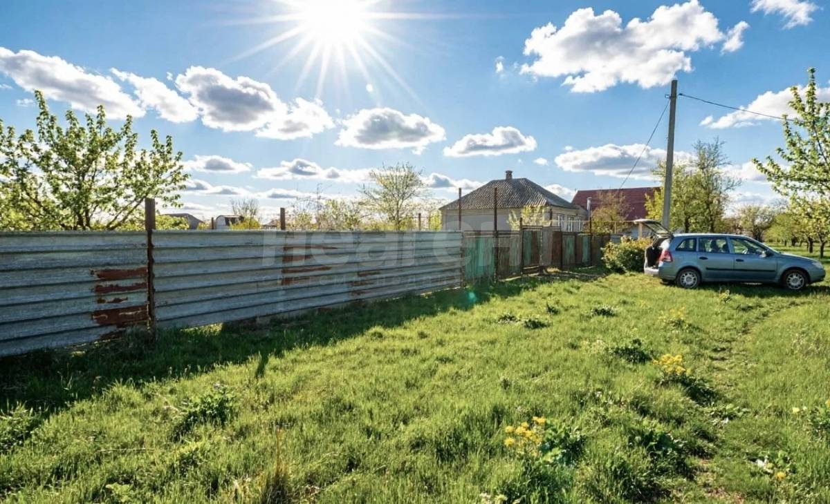 Фотография №7