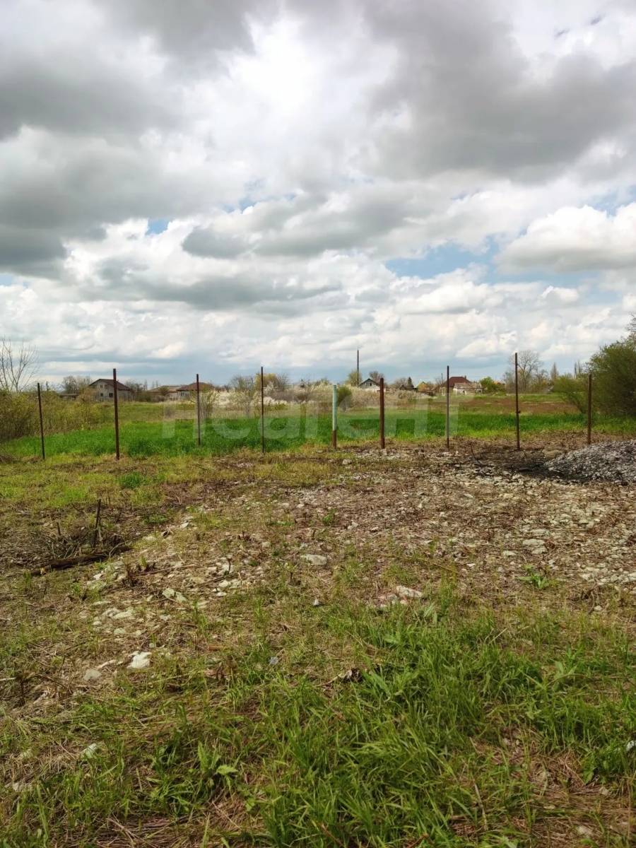 Фотография №9