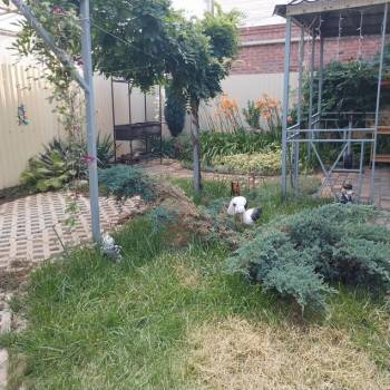 Сдается Дом, 45 м²