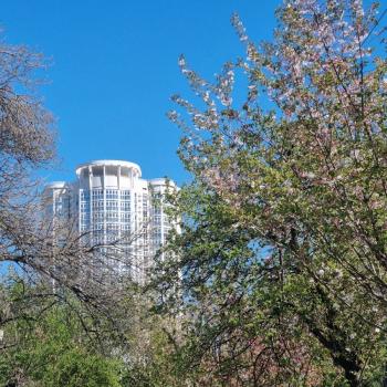 Продается 1-комнатная квартира, 49,6 м²